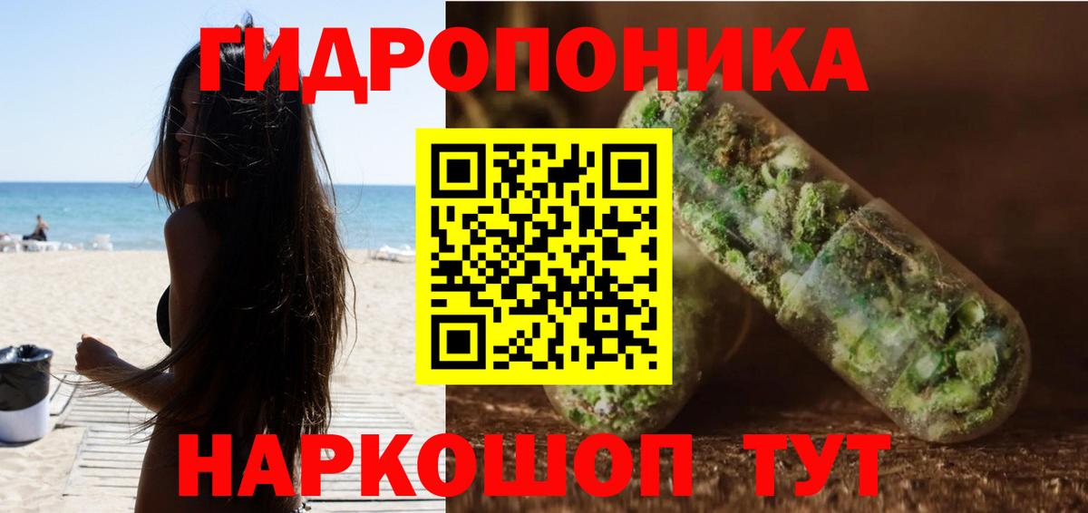 Каннабис MAZAR Лесной
